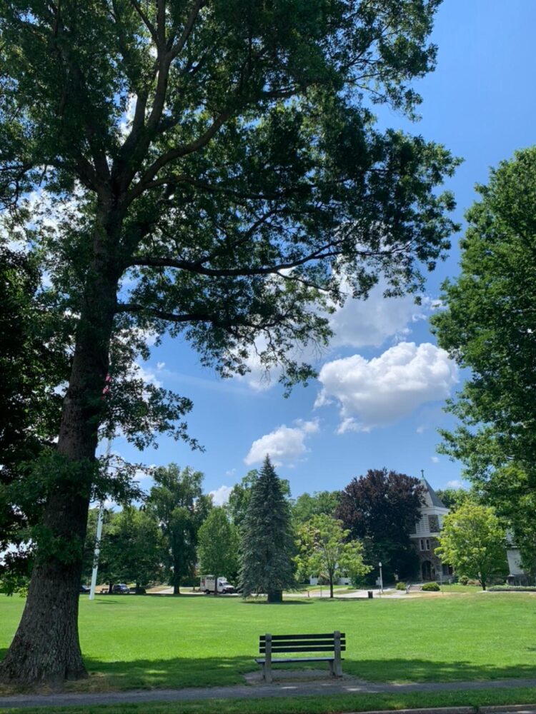 A Park In Lexington Green