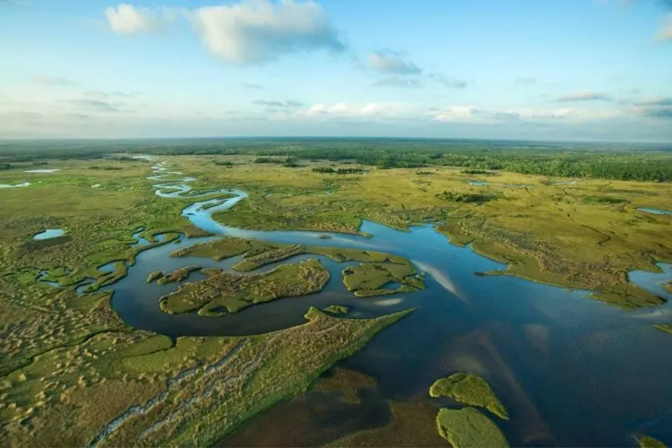 Everglades