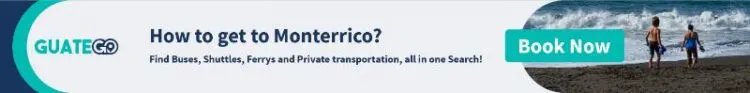 Comment Se Rendre à Monterrico