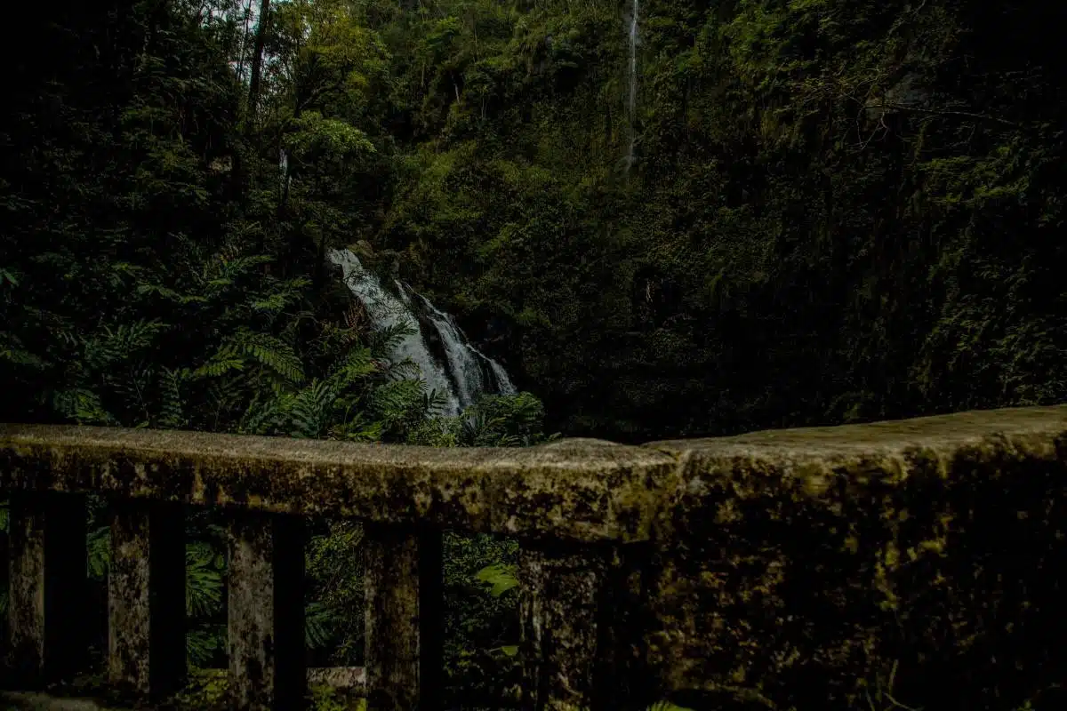 Die StraßE Nach Hana Von I'm Jess Traveling-2
