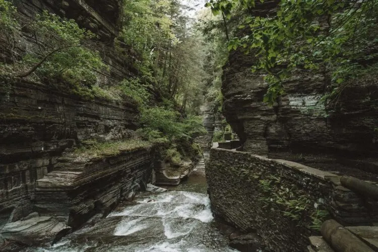 Top Things To Do In The Finger Lakes Robert Thurman Gorge