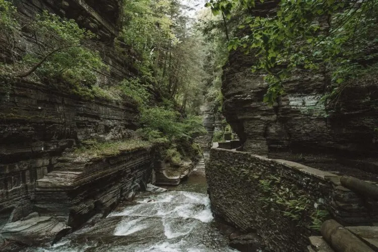 Les Meilleures Choses à Faire Dans Les Finger Lakes Robert Thurman Gorge