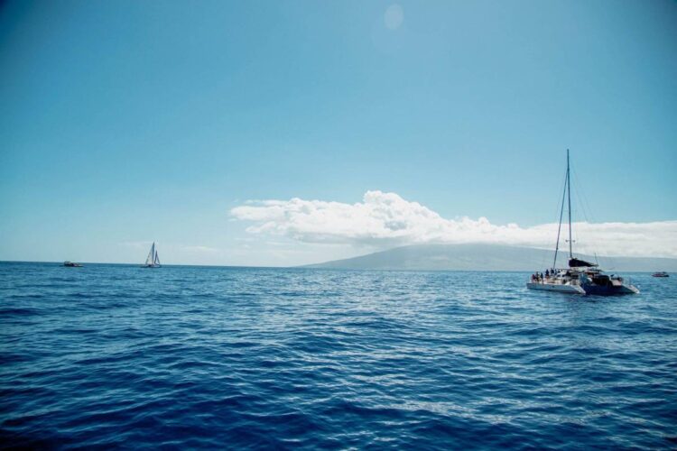 Whale Watch On Maui Por I'M Jess Traveling-3