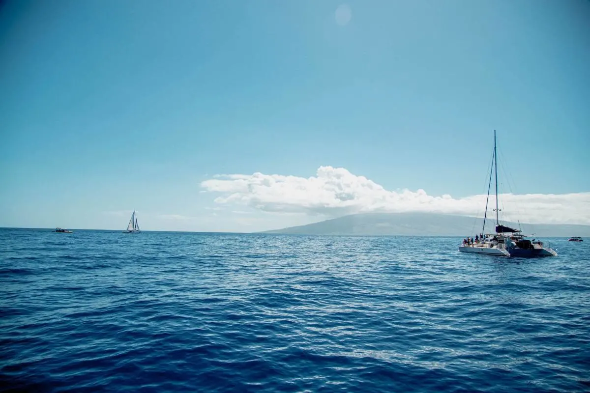Guarda Le Balene A Maui Da I'm Jess Traveling-3