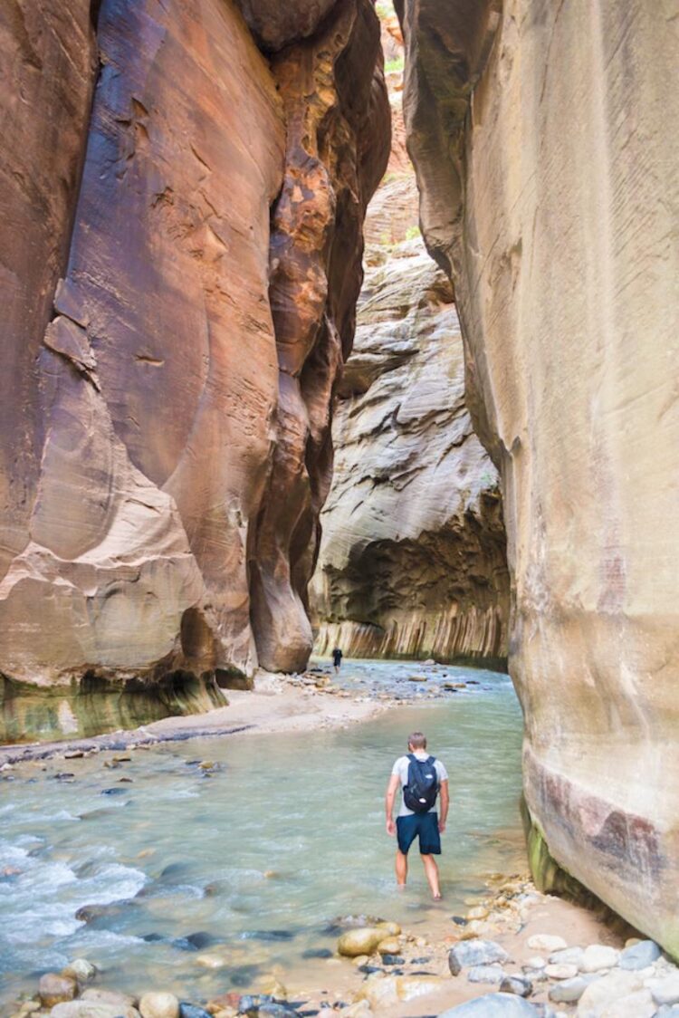 Zionnp