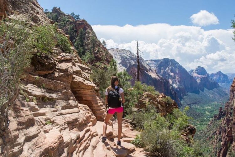 Zionnp