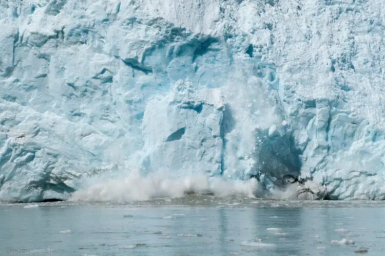 Calving Glacier