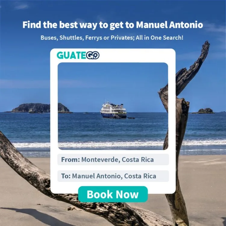 Van Monteverde Naar Manuel Antonio - Guatego