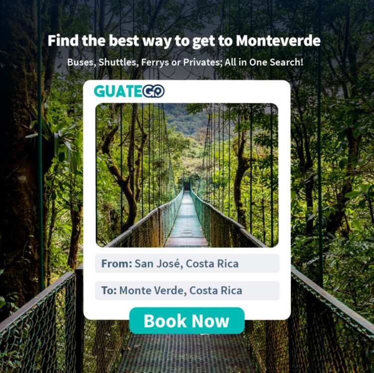 Van San José Costa Rica Naar Monteverde - Guatego