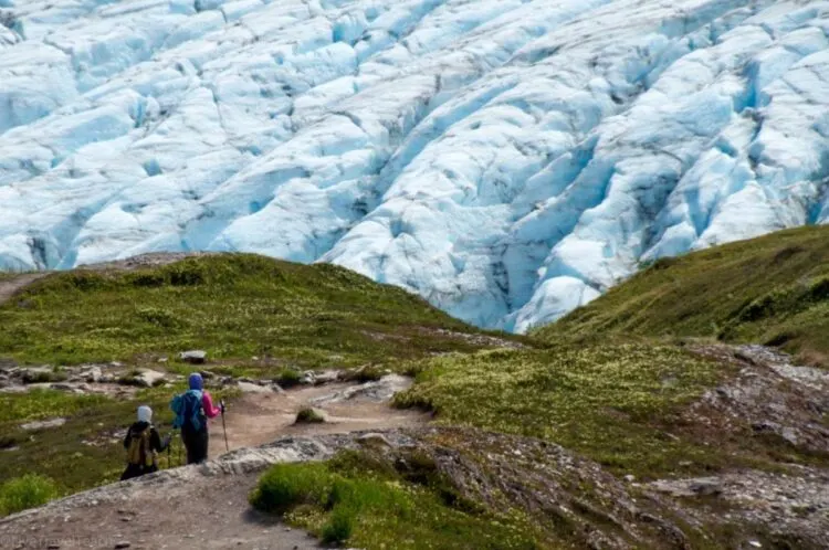 Hiking-Harding-Ice-Field-Trail