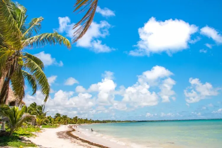 Como Chegar De Chiquila A Holbox, México? 3 Como Chegar De Chiquila A Holbox MéXico