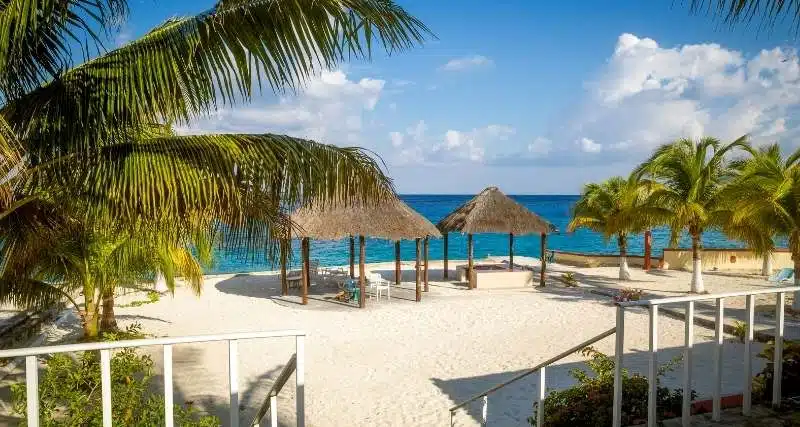 How To Get From Playa Del Carmen To Cozumel2 1