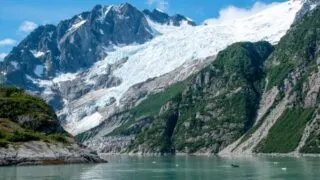 Kenai Fjords Glacier _ Orca