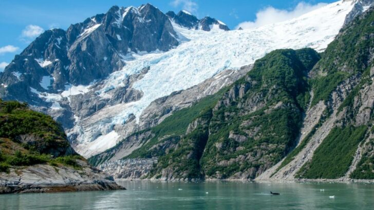 Alaskan Glacier Adventures