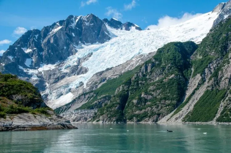 Kenai Fjords Glacier _ Orca