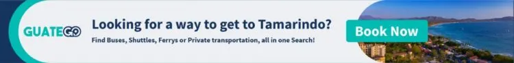Looking For A Way To Get To Tamarindo?