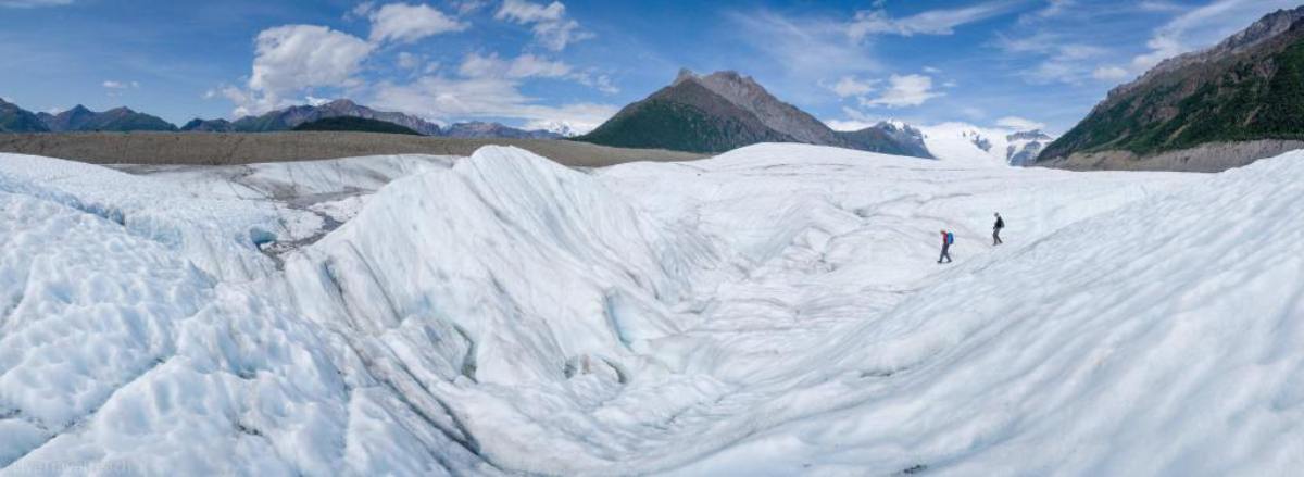 Wurzel-Gletscher-Panorama