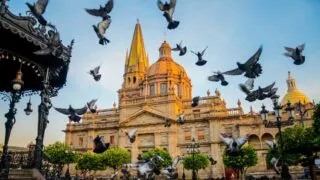 Dónde está Guadalajara México22