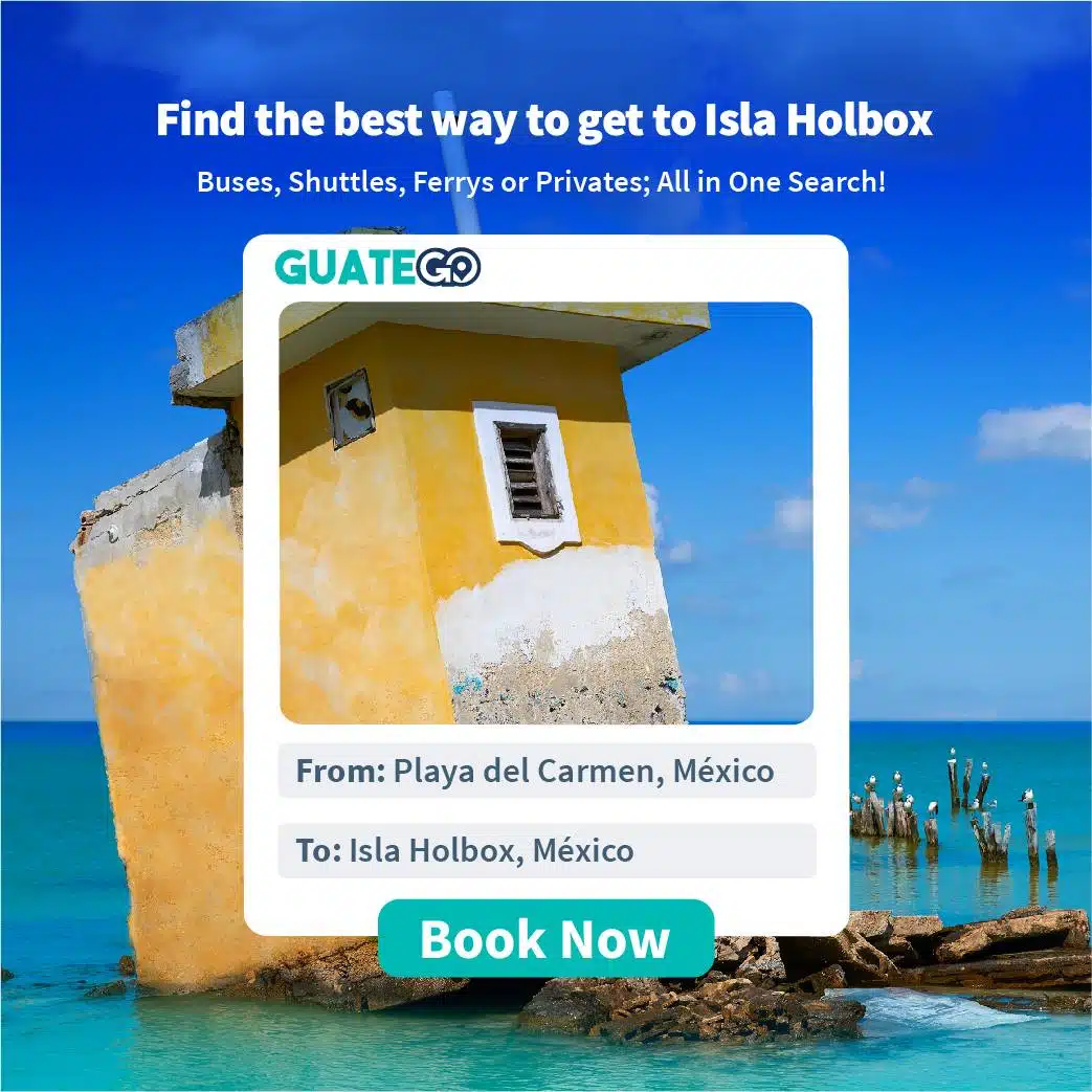De Playa Del Carmen A Isla Holbox