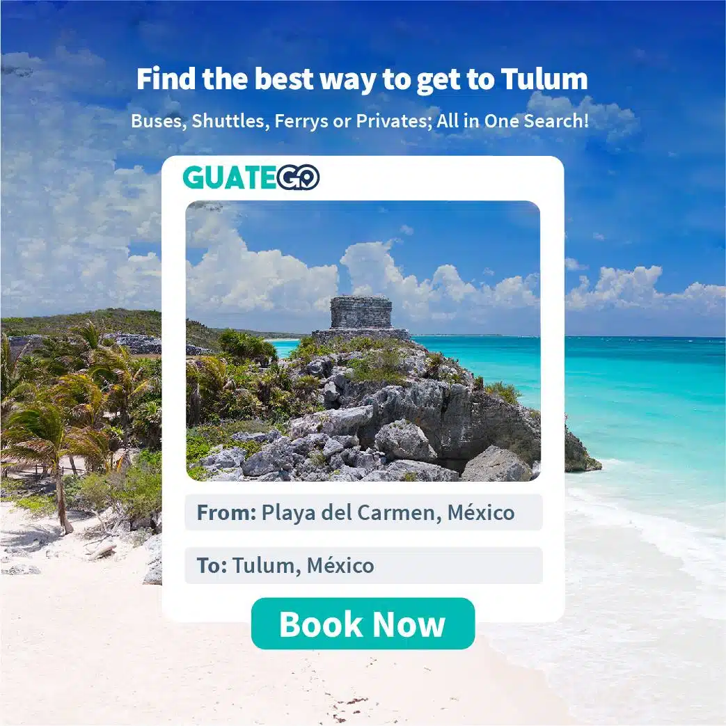 De Playa Del Carmen A Tulum