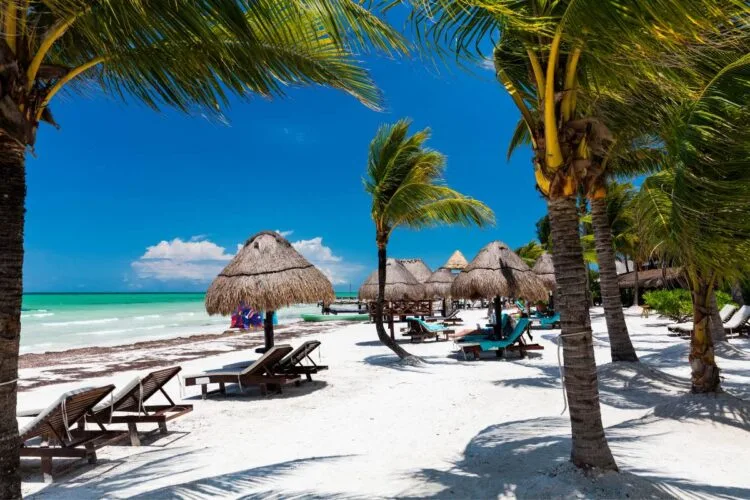 Como Viajar De Mérida Para Holbox México 5 Como Viajar De MéRida Para Holbox MéXico