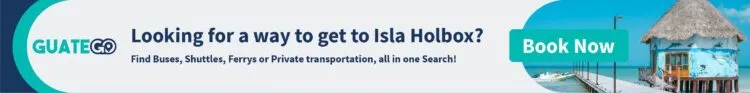 Procura Uma Forma De Chegar A Isla Holbox?