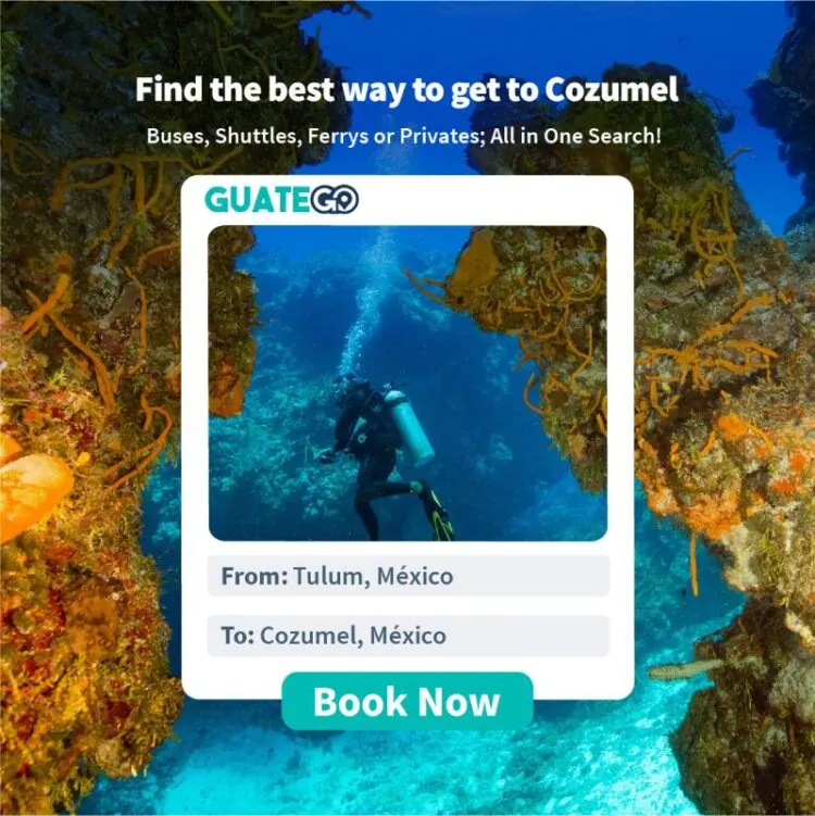 From Tulum To Any Cozumel