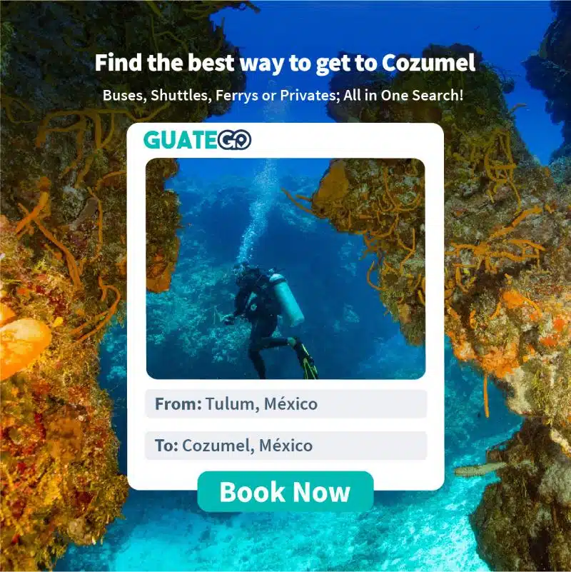 Van Tulum Naar Elk Cozumel