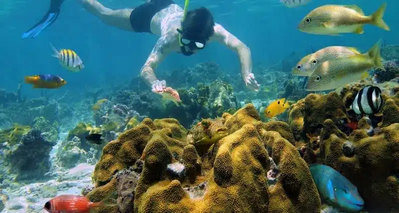 Como Chegar De Tulum A Cozumel, MéXico