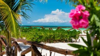 How to get from Tulum to Holbox, Mexico