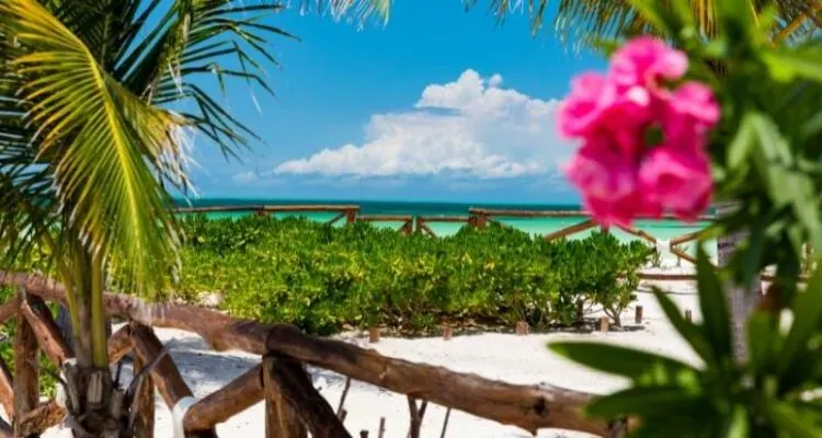 Wie Kommt Man Von Tulum Nach Holbox, Mexiko 2 How To Get From Tulum To Holbox, Mexico