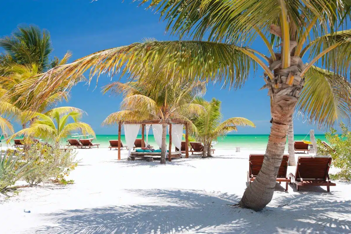 Comment Se Rendre De Tulum à Holbox, Au Mexique.