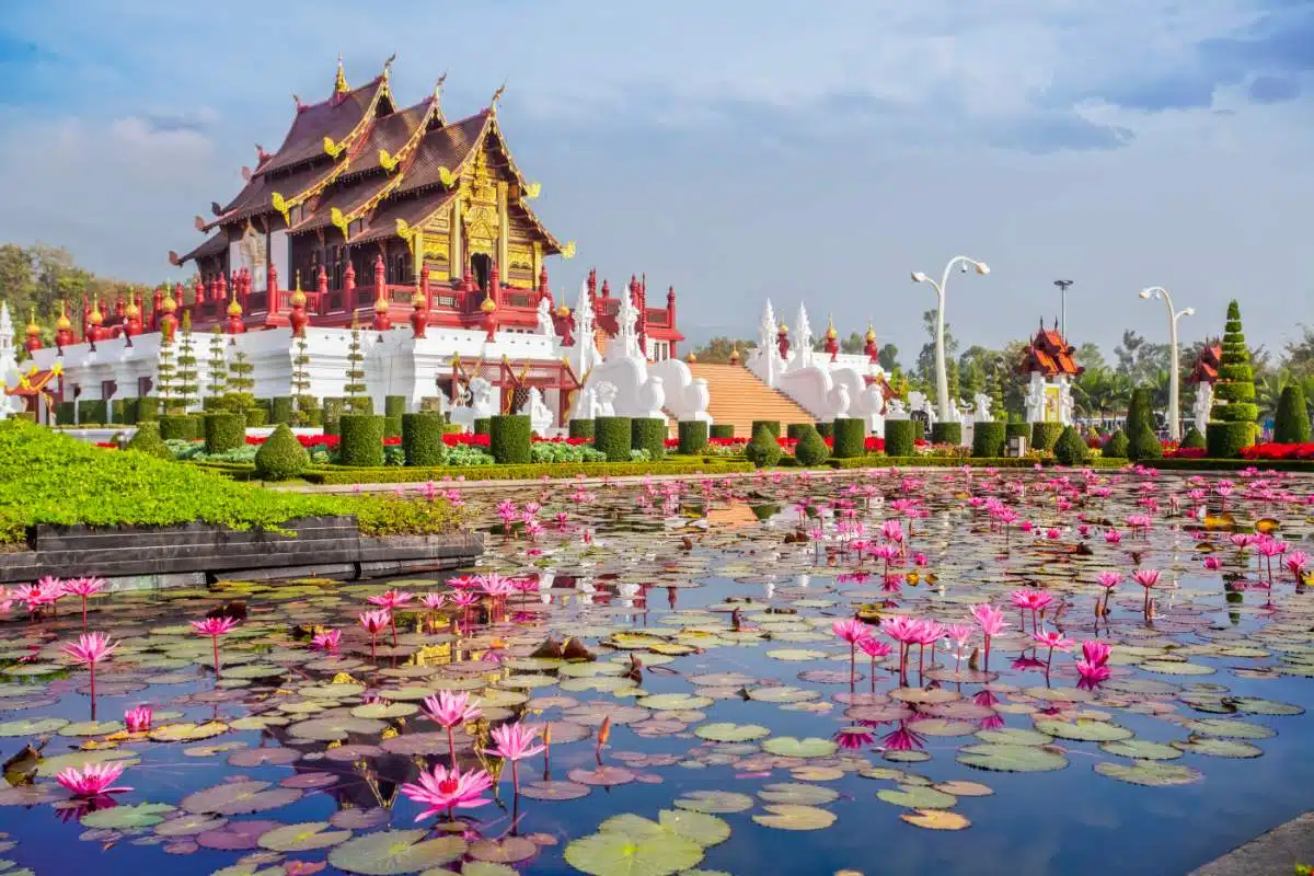 Da Phuket A Chiang Mai