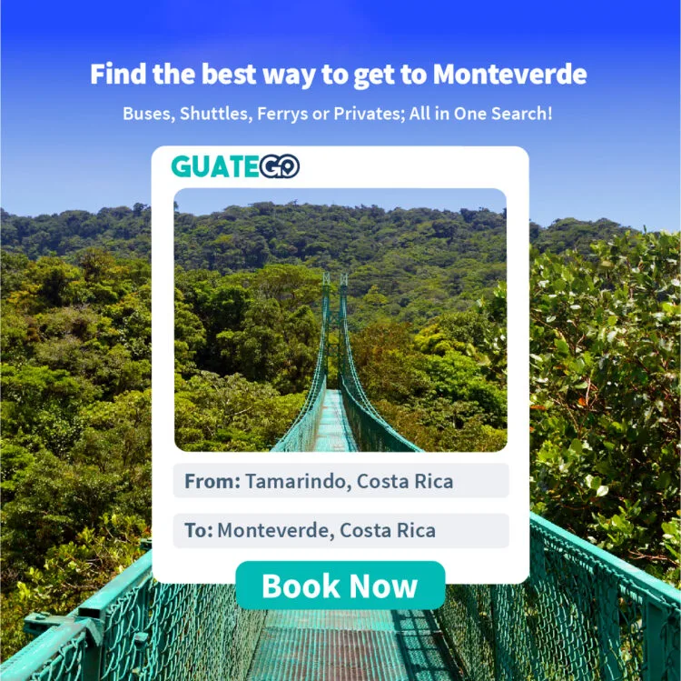 From Tamarindo To Monteverde