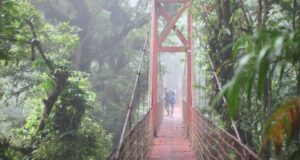 How to get from Liberia to Monteverde, Costa Rica