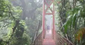 How to get from Liberia to Monteverde, Costa Rica