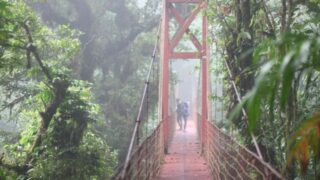 Comment se rendre de Liberia à Monteverde, Costa Rica.