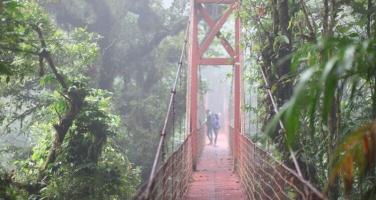 How To Get From Liberia To Monteverde, Costa Rica