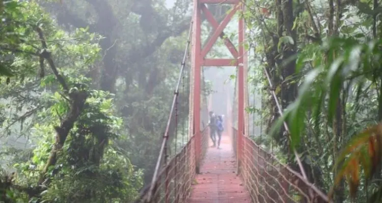 How To Get From Liberia To Monteverde, Costa Rica