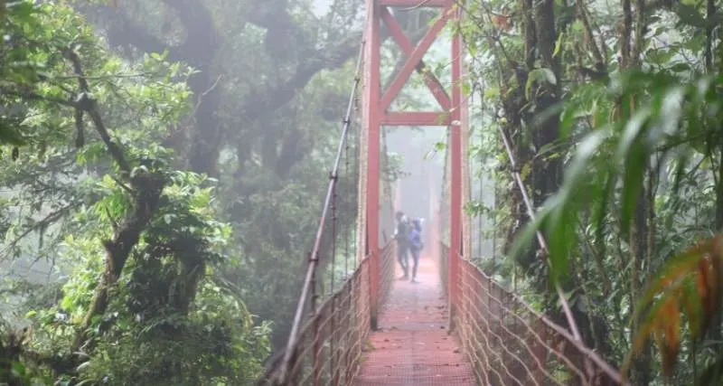 Hoe Kom Je Van Liberia Naar Monteverde, Costa Rica?