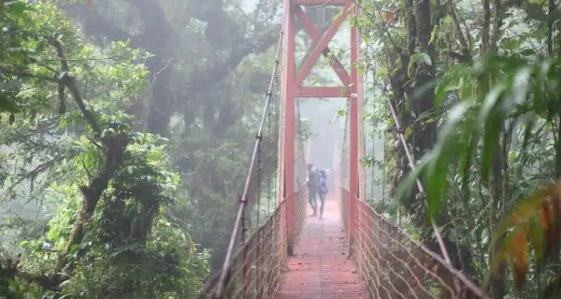 Come Arrivare Da Liberia A Monteverde, Costa Rica