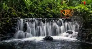 How to get from Santa Teresa to La Fortuna, Costa Rica