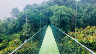 How to get from Tamarindo to Monteverde, Costa Rica