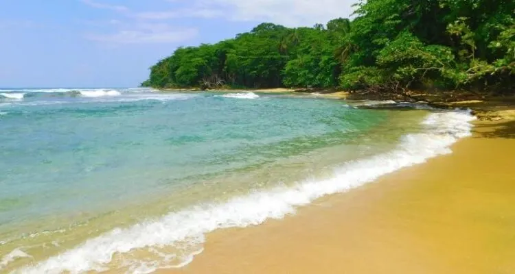 How To Travel From La Fortuna Arenal To Puerto Viejo, Costa Rica