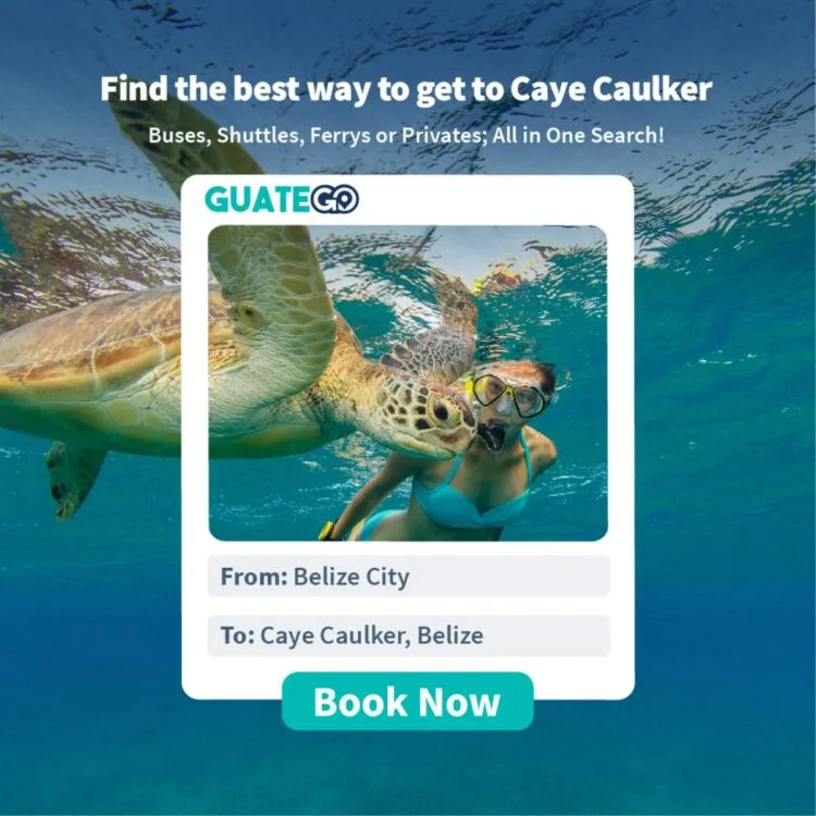 Van Belice City naar Caye Caulker