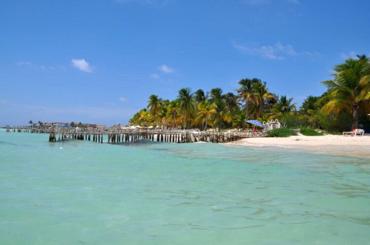 Comment Se Rendre De L'AéRoport De Cancun à Isla Mujeres, Au Mexique1