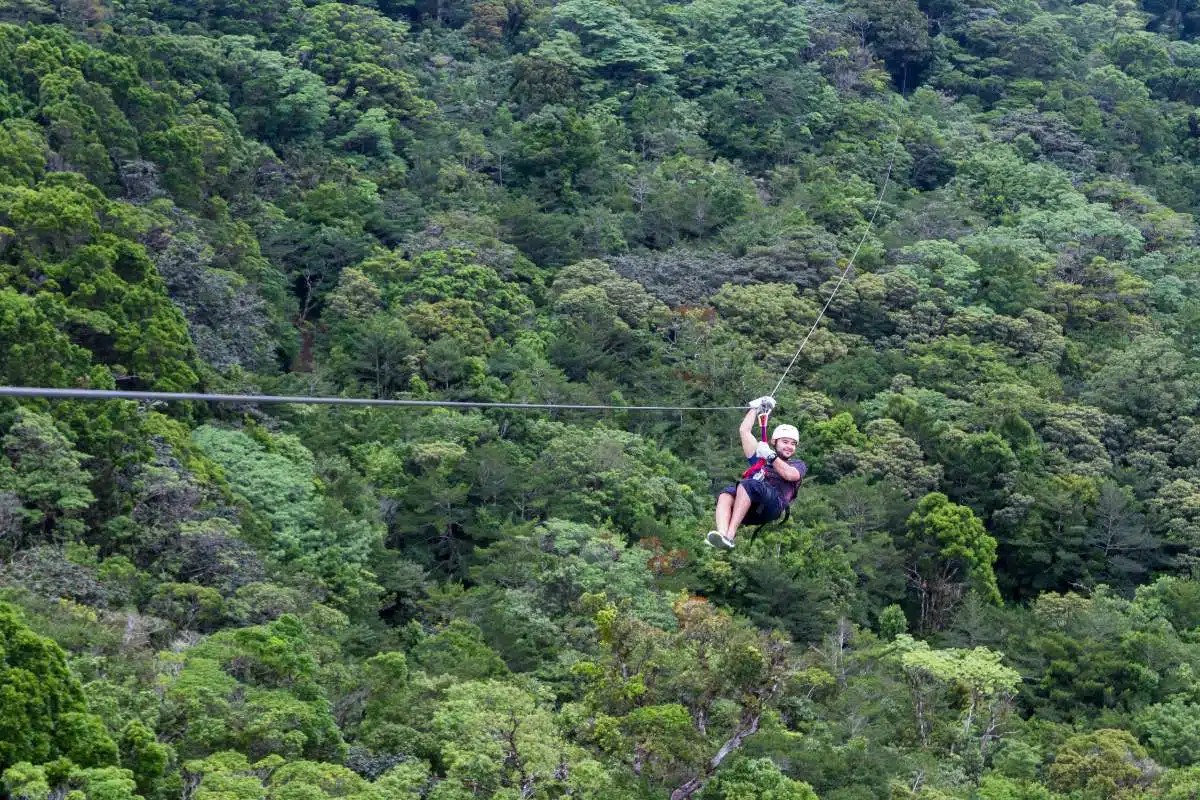 Come Arrivare Da Liberia A Monteverde, Costa Rica