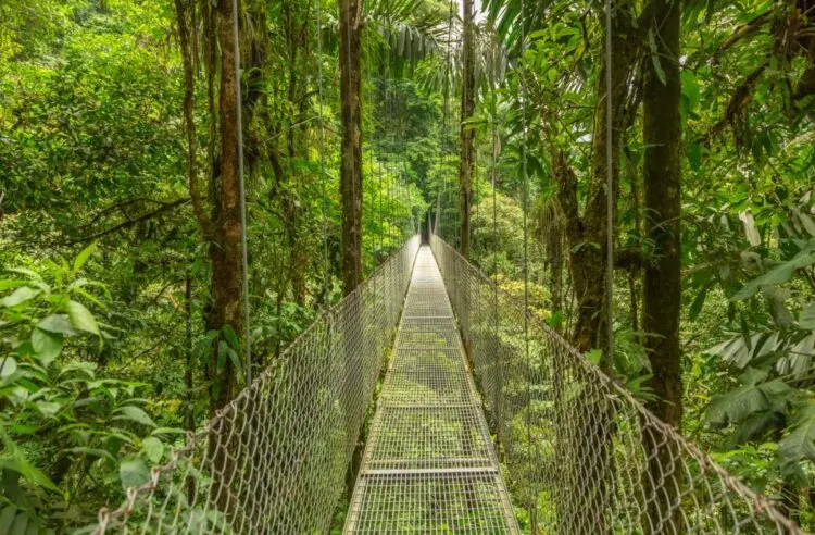 How To Get From Liberia To Monteverde, Costa Rica