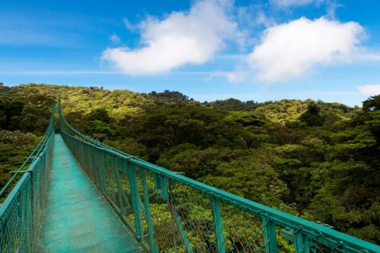 How To Get From Liberia To Monteverde, Costa Rica