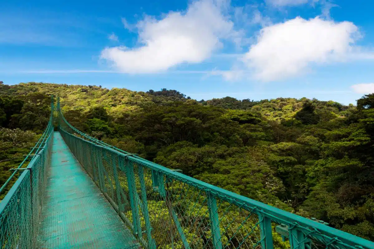 CóMo Llegar De Liberia A Monteverde, Costa Rica